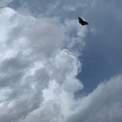 cold (with zayamira)