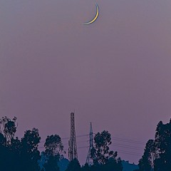 dreamed. - Moonjellyfish