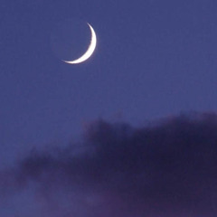 駄目な夜