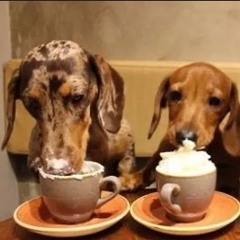 An Audience at the Old Café