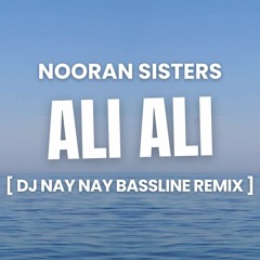 DJ Nay Nay Vs Nooran Sisters - Ali Ali (Bassline Mix) [Free DL]