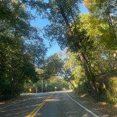 Autumn Leaves (Prod. Jolst)