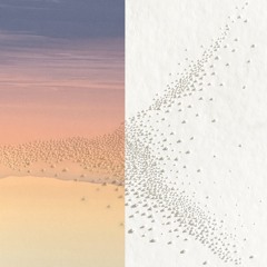 Piano Phases