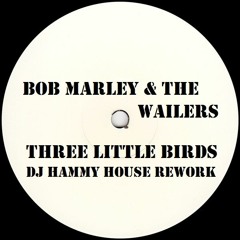Bob Marley & The Wailers - Three Little Birds (DJ Hammy House Rework)
