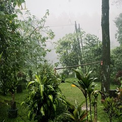 lazing turner cimilikidut