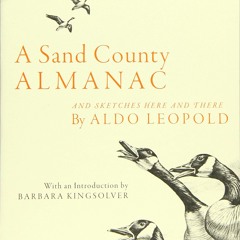 Read ebook [▶️ PDF ▶️] A Sand County Almanac: And Sketches Here and Th