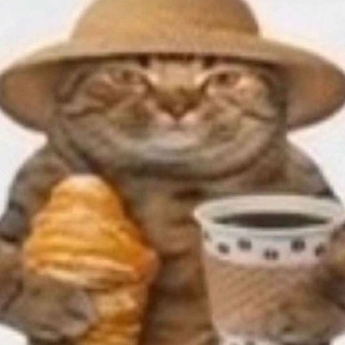 Cats.Mp4