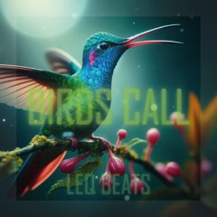 BIRDS CALL (Extended Version) [FREE DL]