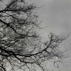 Dead Trees - Void Struggler