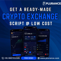 Ready-Made vs. Custom Cryptocurrency Exchange Script – Which One to Pick?