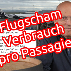 Flugscham … Verbrauch pro Passagier im Flugzeug | PKW | Eisenbahn | Vorschlag für die Zukunft
