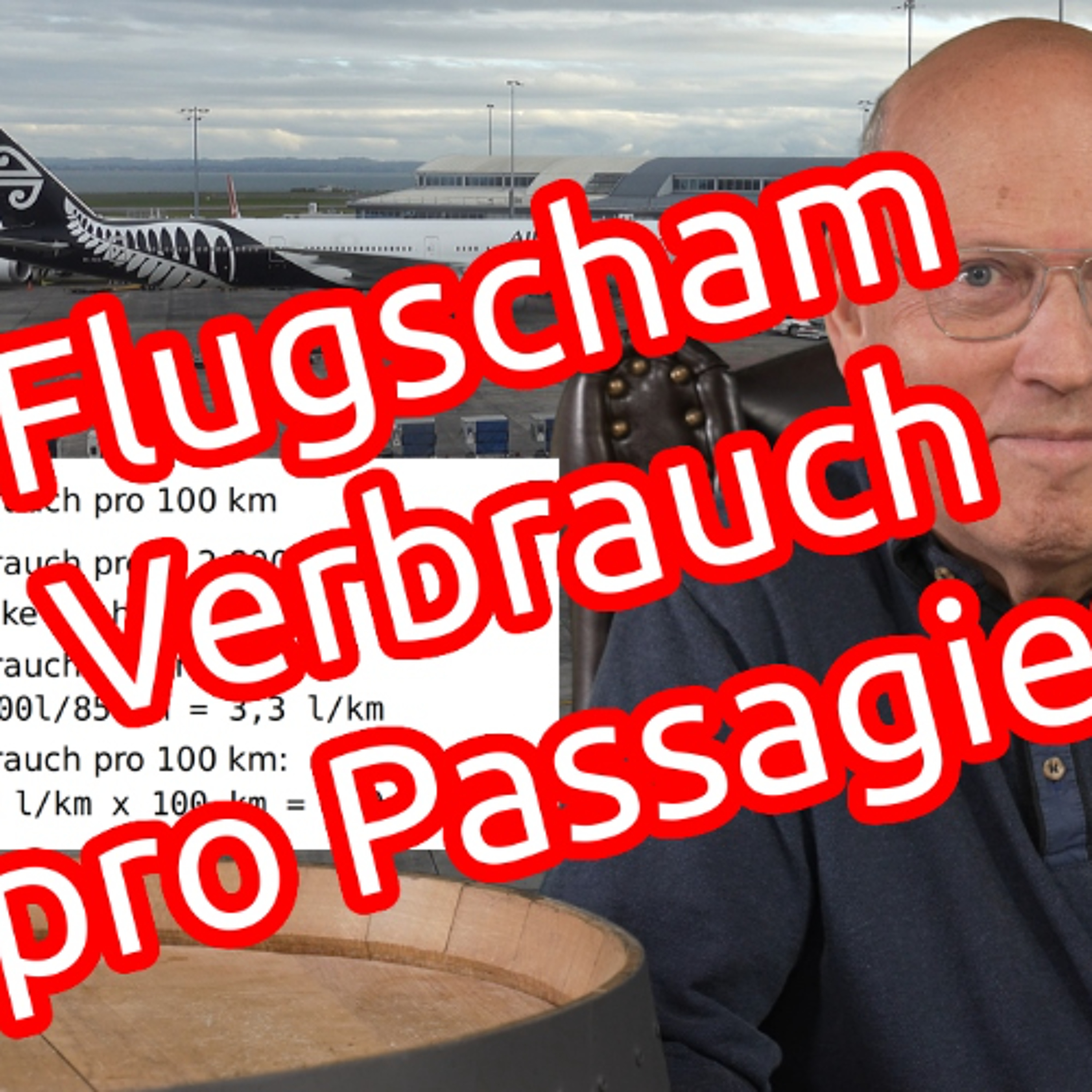 Flugscham … Verbrauch pro Passagier im Flugzeug | PKW | Eisenbahn | Vorschlag für die Zukunft