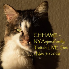 Chhawe NYAnjunafamily Twitch LIVE Set Nov 2020