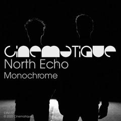 North Echo - Monochrome
