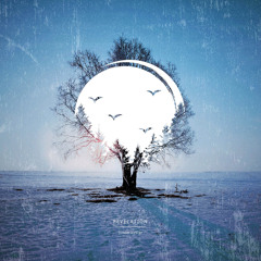 Relaxing Ambient Music