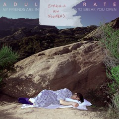 Adult Karate - Euphoria