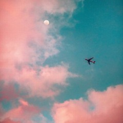 Fliege Hoch (unmixed)
