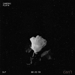 Can't (Feat.HAEMOO)