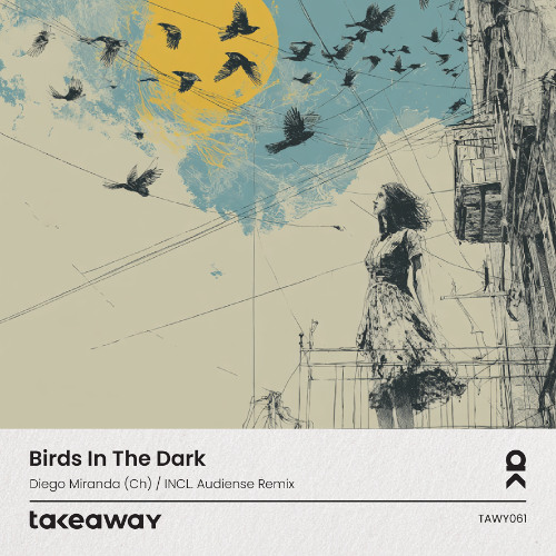 Premiere: Diego Miranda (CH) - Birds in the Dark (Audiense Remix) [Take Away]