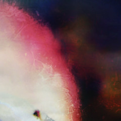 ascension of the flies