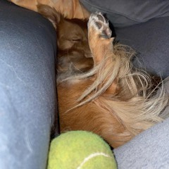 Sprudel`s_news aus Wohn+Esszimmer 12:25