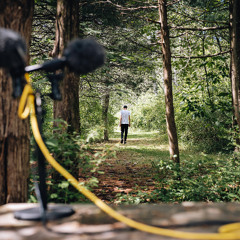 DanielNeumann_ToneFieldHorizon-WaveFarm2024