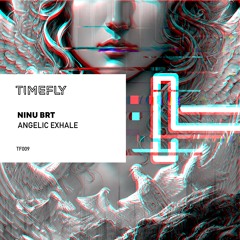 TF009: Ninu Brt - Angelic Exhale (Original Mix)