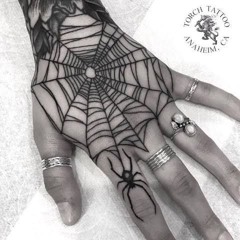 Portia in The Spiders Web