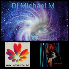 Why I Love You So Cry Baby (ALOK Vs CLEAN BANDIT X ANNE MARIE X DAVID GUETTA)