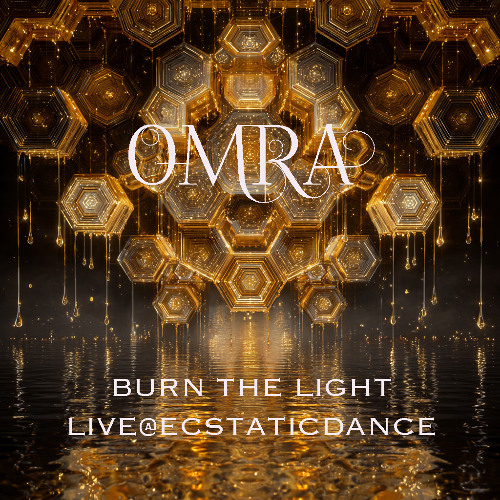 BURN THE LIGHT (PART B) Live Ecstatic Bee Dance