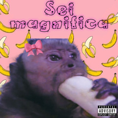 Sei magnifica