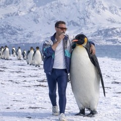 Im Robbenmarsch übers ewige Eis bouncen / Bertolt Frech @ Südpol 13.12