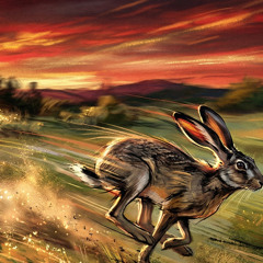 Jackrabbit (On Your Back)
