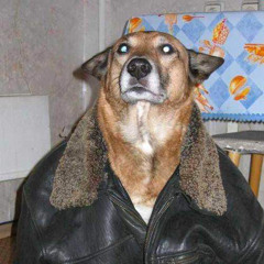 Csoky - FREESTYLE.HU