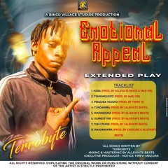 Terrobyte - Tsanangudzo (Mad Vie) 2024