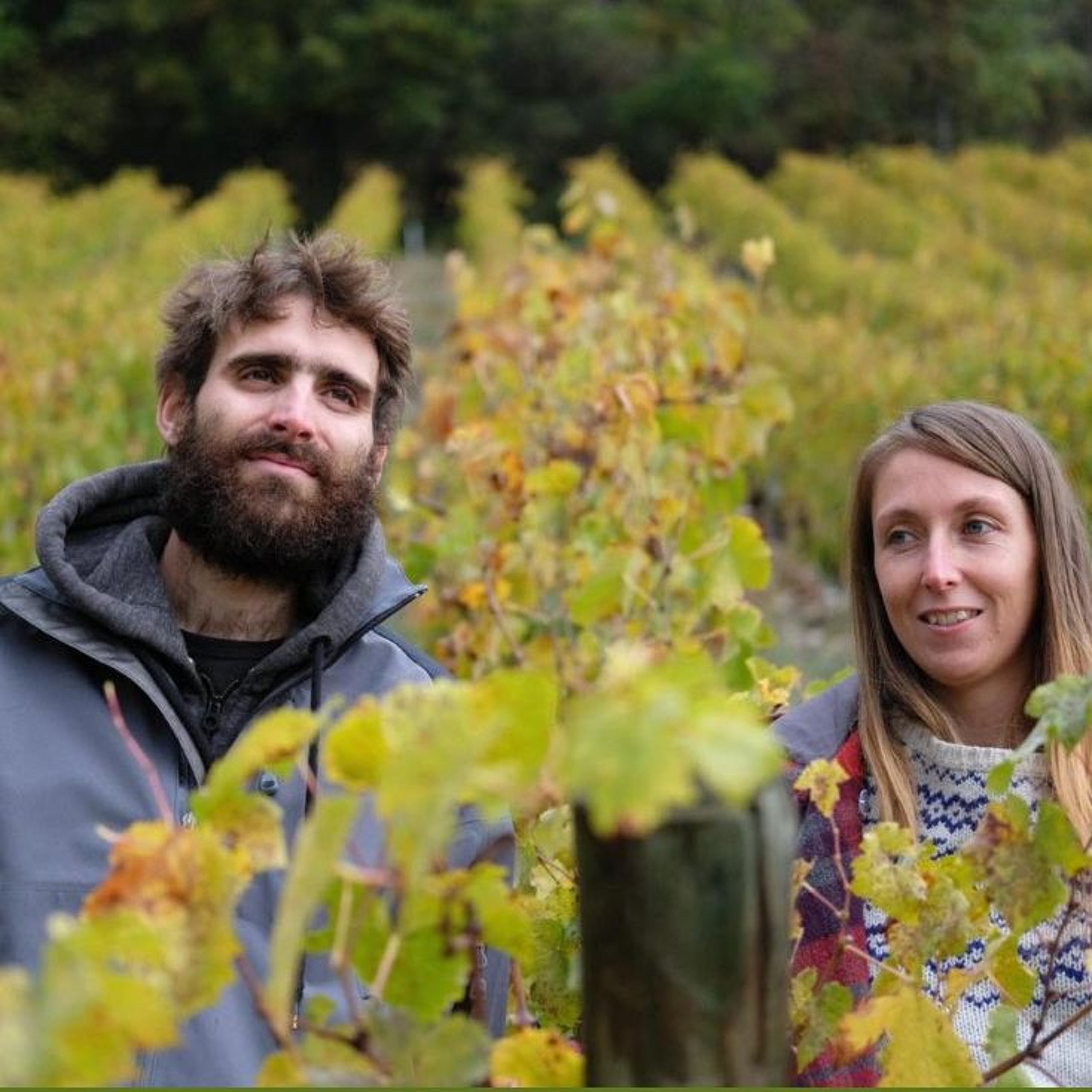 - Adrien Bariol - Domaine D'Ici Là - Le gel