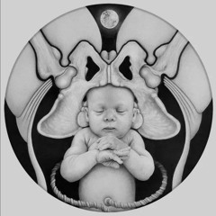 𓇼𓆨De la Corona a la Tierra 𓆨 𓇼  1 OfrenDanza