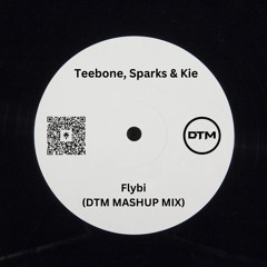 Teebone, Sparks & Kie - FLYBI (DTM MASHUP MIX)