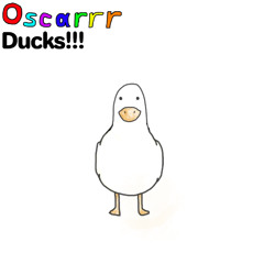 Ducks!!!