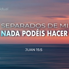 Tema | Separados De Mi Nada Podéis Hacer