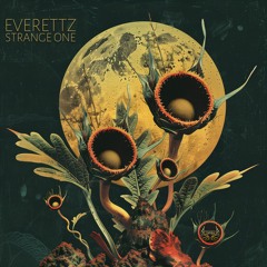 everettz - STRANGE ONE