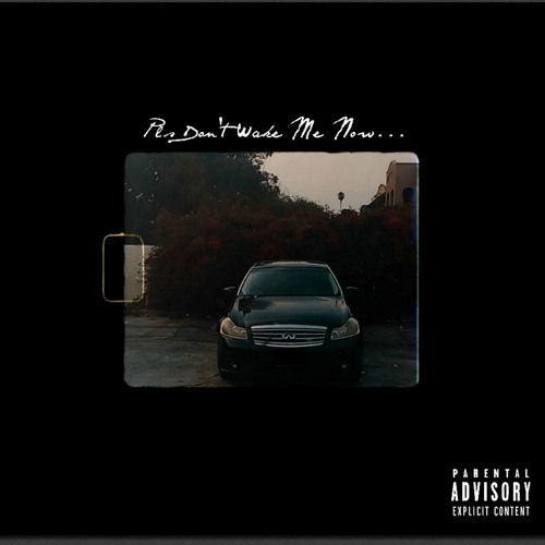 Pls Don't Wake Me Now