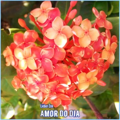 Pop anos 60 / 70 / 80 / 90 / 00