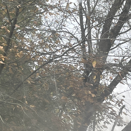 idk what to title this (Freestyle)