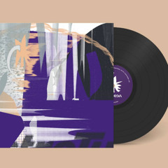 *SNIPPETS* VINYL RELEASE LPDR019 - DES CODA - Mean Field Mutation LP OUT 27.03.2026