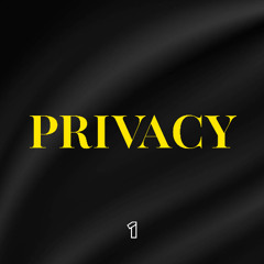CamThe1 - "Privacy"