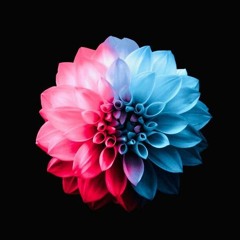 SỢ PHẢI KẾT THÚC Remix  Vu Kem
