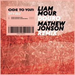 PREMIERE: Liam Mour - Douro (Mathew Jonson Remix)