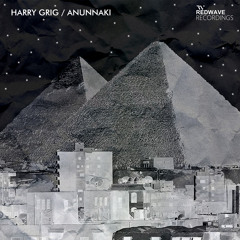 Harry Grig - Anunnaki (Original Mix)