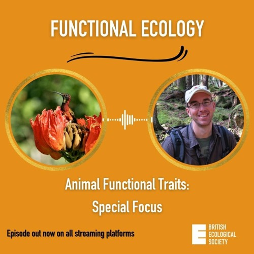 Animal Functional Traits: A Special Focus